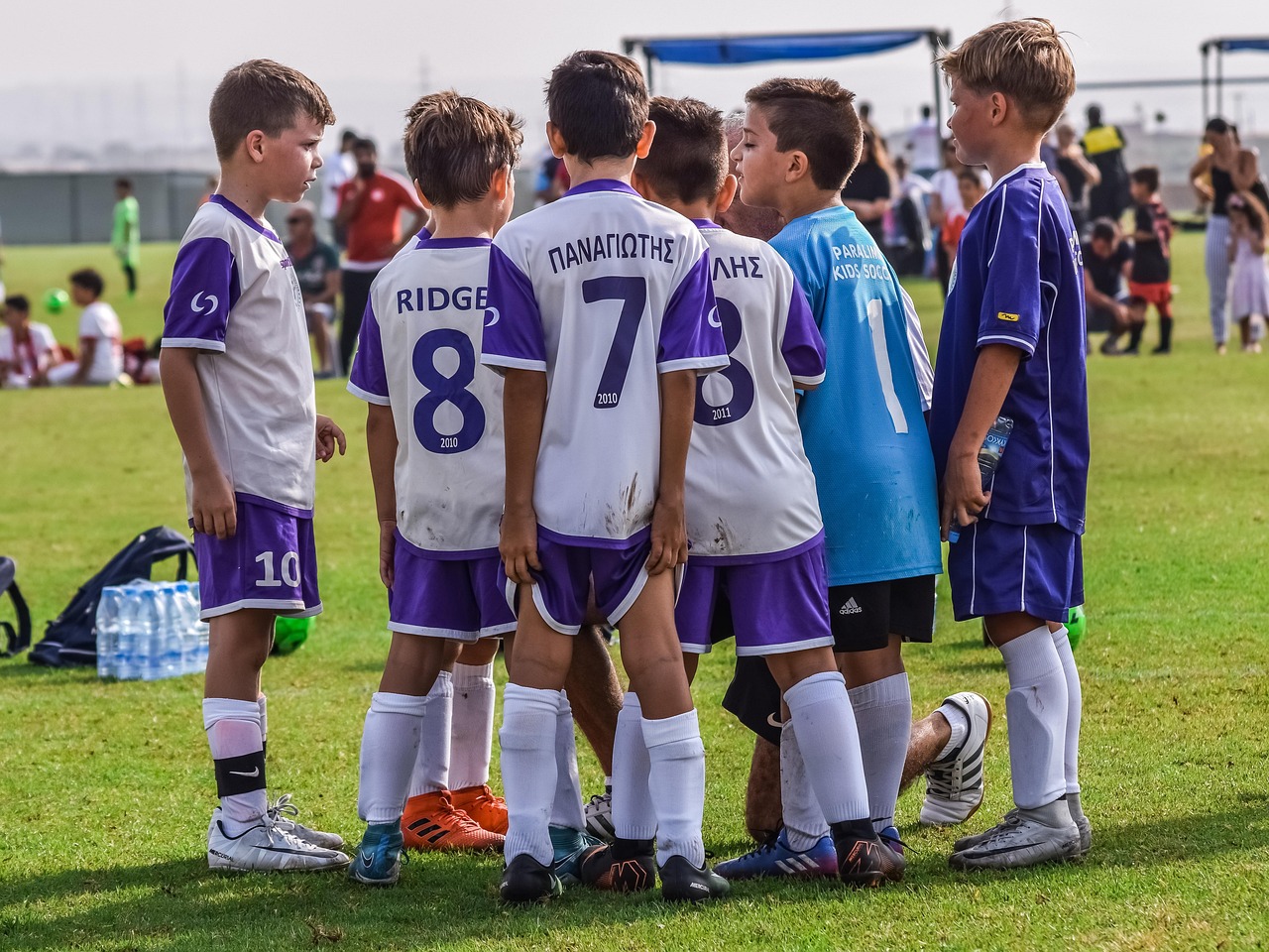 香烟的产区与品种的关系