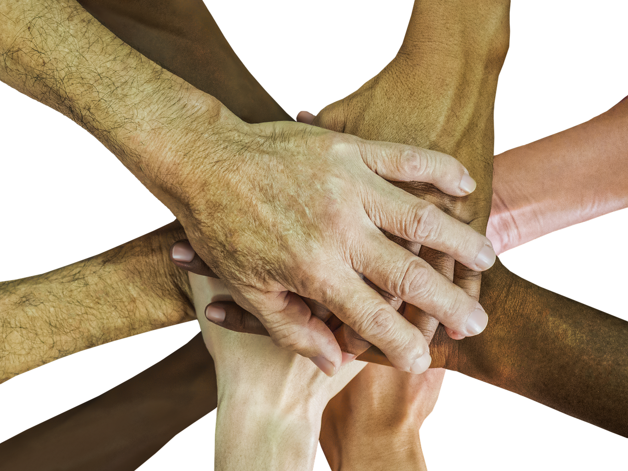 蓝狮娱乐，注册|n站app客户端详情下载教程