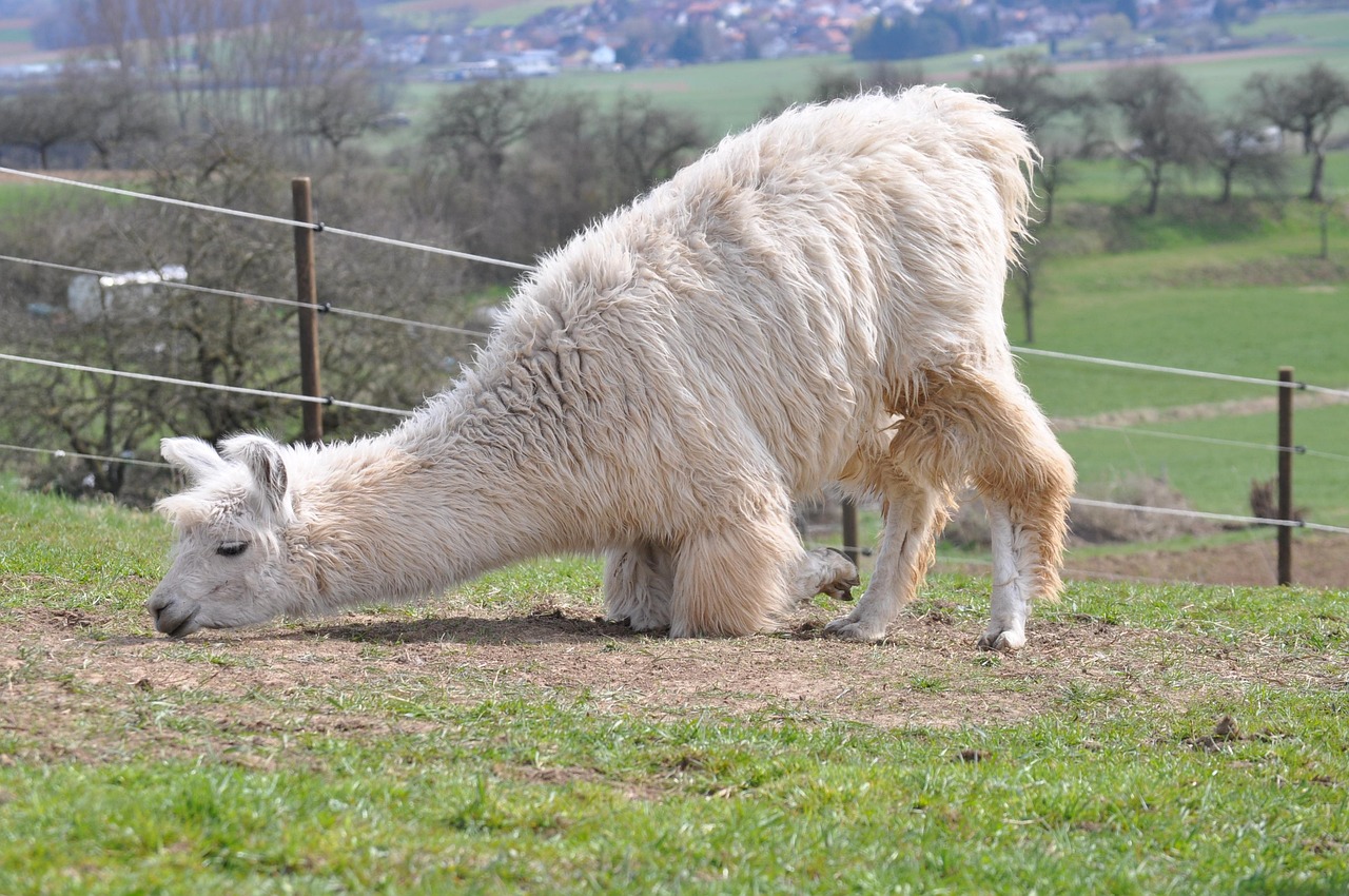 恒达代理别人注册公司
