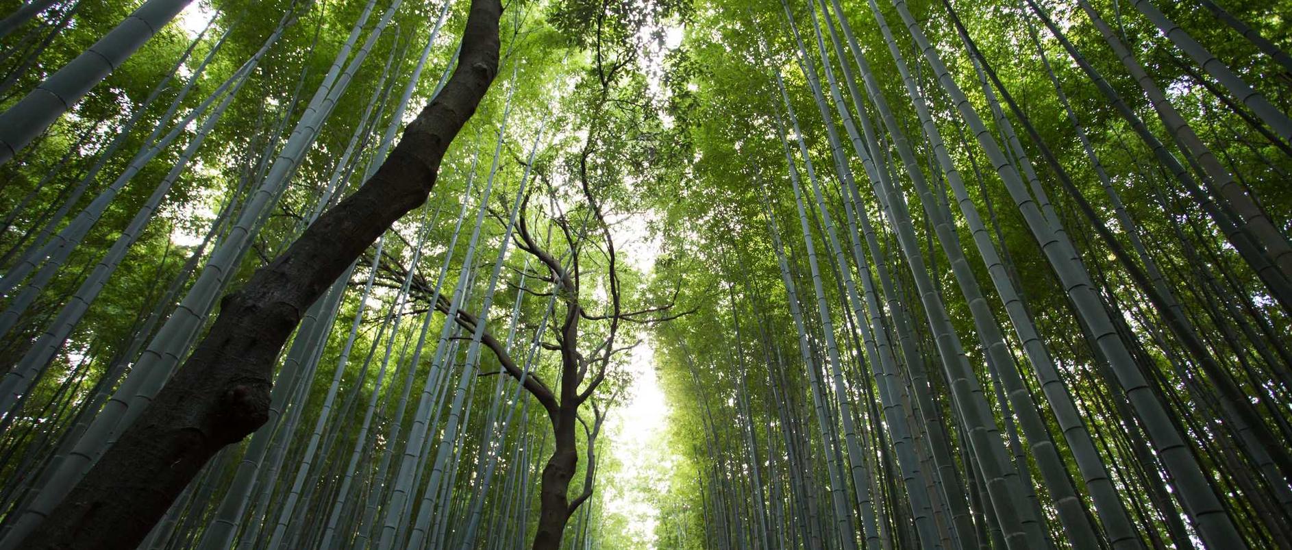 吸烟者的视力健康