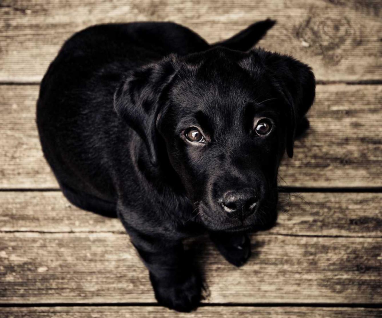 小米流量卡- 高德地图怎么注册账号