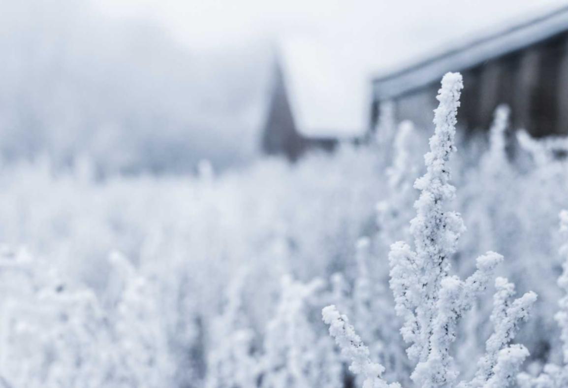 NBA 2K23：常州购买口罩平台